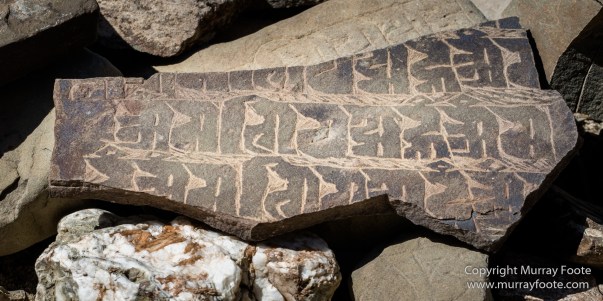 Abstract, Buddhism, Hemis National Park, Ice, India, Ladakh, Landscape, Macro, Nature, Photography, Rumbak, Snow Leopards, Tibet, Travel, Wildernes
