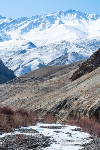Abstract, Buddhism, Hemis National Park, Ice, India, Ladakh, Landscape, Macro, Nature, Photography, Rumbak, Snow Leopards, Tibet, Travel, Wildernes