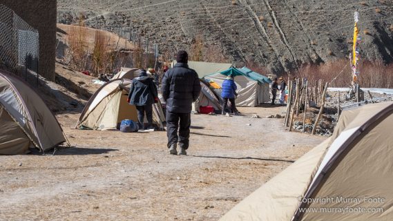 Abstract, Buddhism, Hemis National Park, Ice, India, Ladakh, Landscape, Macro, Nature, Photography, Rumbak, Snow Leopards, Tibet, Travel, Wildernes