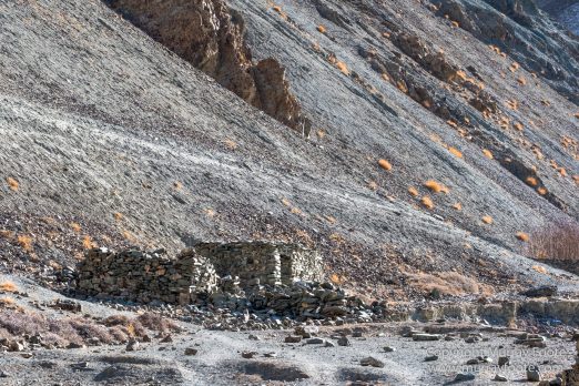 Abstract, Buddhism, Hemis National Park, Ice, India, Ladakh, Landscape, Macro, Nature, Photography, Rumbak, Snow Leopards, Tibet, Travel, Wildernes