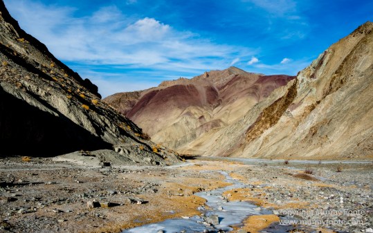 Abstract, Buddhism, Hemis National Park, Ice, India, Ladakh, Landscape, Macro, Nature, Photography, Rumbak, Snow Leopards, Tibet, Travel, Wildernes