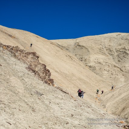 Hemis National Park, Horses, Ice, India, Ladakh, Landscape, Nature, Night Photography, Photography, Rumbak, Tibet, Travel, Wilderness