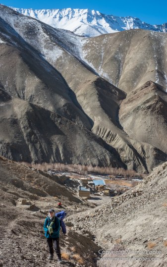 Hemis National Park, Horses, Ice, India, Ladakh, Landscape, Nature, Night Photography, Photography, Rumbak, Tibet, Travel, Wilderness