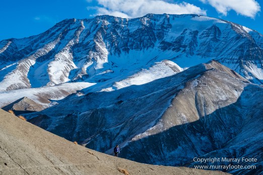 Hemis National Park, Horses, Ice, India, Ladakh, Landscape, Nature, Night Photography, Photography, Rumbak, Tibet, Travel, Wilderness