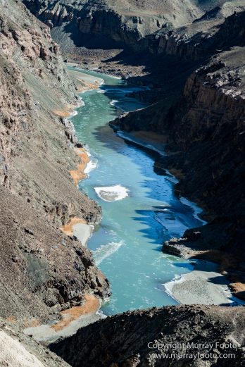 Hemis National Park, Horses, India, Ladakh, Landscape, Nature, Photography, Rumbak, Tibet, Travel, Wilderness