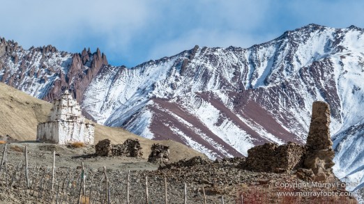 Buddhism, Hemis National Park, Horses, India, Ladakh, Landscape, Nature, Photography, Rumbak, Tibet, Travel, Wilderness