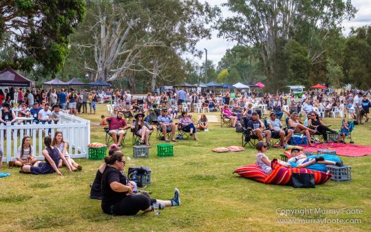 A Hitch to the Sticks, Australia, Blues Festivals, Dallas Frasca, Live Music, Photography, Travel, Victoria