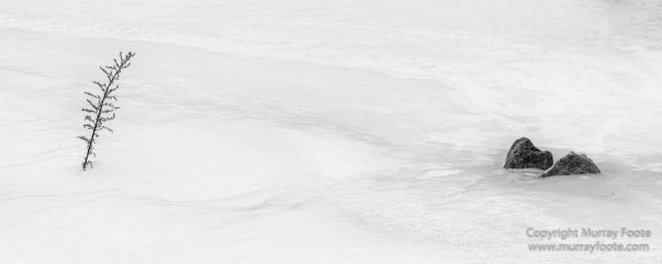 Abstract, Black and White, Buddhism, Hemis National Park, Ice, India, Ladakh, Landscape, Macro, Monochrome, Nature, Photography, Tibet, Waterfall, Wilderness