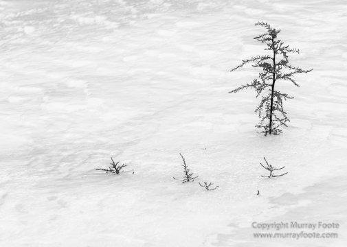 Abstract, Black and White, Buddhism, Hemis National Park, Ice, India, Ladakh, Landscape, Macro, Monochrome, Nature, Photography, Tibet, Waterfall, Wilderness
