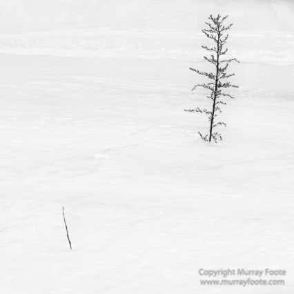 Abstract, Black and White, Buddhism, Hemis National Park, Ice, India, Ladakh, Landscape, Macro, Monochrome, Nature, Photography, Tibet, Waterfall, Wilderness