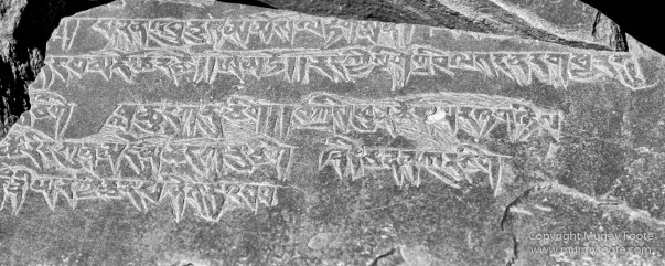 Black and White, Buddhism, Hemis National Park, India, Ladakh, Landscape, Monochrome, Photography, Rumbak, Street photography, Tibet
