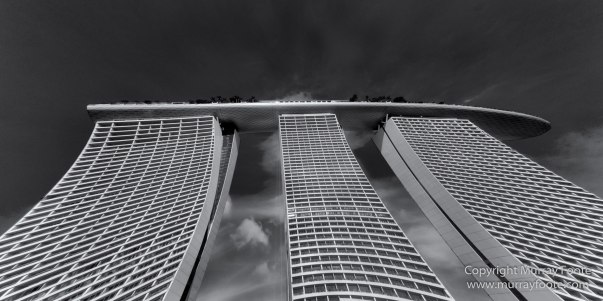 Black and White, Gardens by the Bay, Landscape, Monochrome, Nature, Photography, Singapore, Wilderness