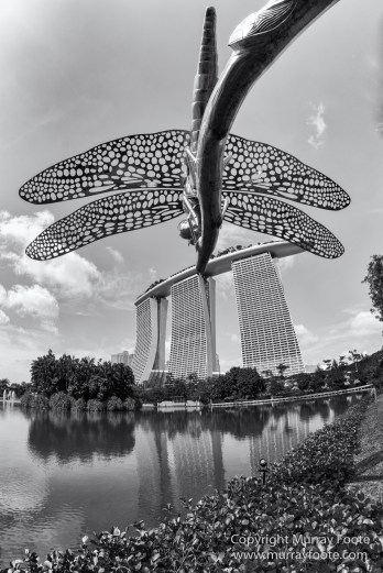 Black and White, Gardens by the Bay, Landscape, Monochrome, Nature, Photography, Singapore, Wilderness