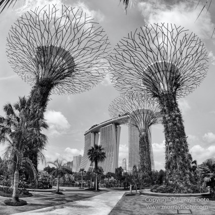 Black and White, Gardens by the Bay, Landscape, Monochrome, Nature, Photography, Singapore, Wilderness
