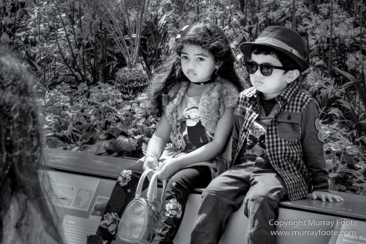 Black and White, Gardens by the Bay, Landscape, Monochrome, Nature, Photography, Singapore, Wilderness