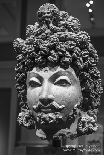 Black and White, Buddhism, Butterfly, Chinatown, Landscape, Monochrome, Nature, Photography, Singapore, Wilderness