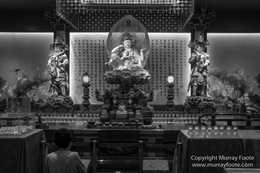 Black and White, Buddhism, Butterfly, Chinatown, Landscape, Monochrome, Nature, Photography, Singapore, Wilderness