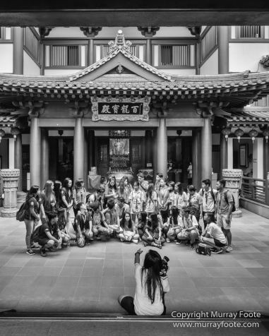 Black and White, Buddhism, Butterfly, Chinatown, Landscape, Monochrome, Nature, Photography, Singapore, Wilderness