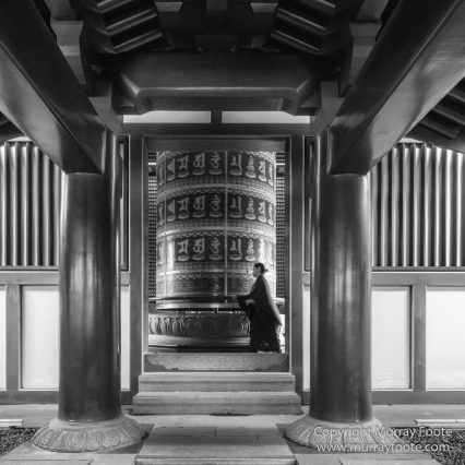 Black and White, Buddhism, Butterfly, Chinatown, Landscape, Monochrome, Nature, Photography, Singapore, Wilderness