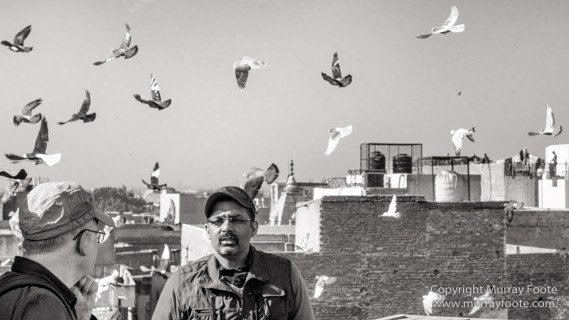 Black and White, Delhi, India, Landscape, Monochrome, Photography, Street photography