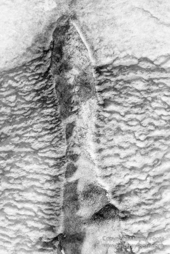 Abstract, Black and White, Buddhism, Hemis National Park, Ice, India, Ladakh, Landscape, Macro, Monochrome, Nature, Photography, Tibet, Waterfall, Wilderness