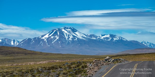 Atacama Desert, Chile, Landscape, Nature, Panorama, Photography, Salar de Aguas Calientes, Salar Miñiques, Salar Miscanti, Travel, vicuña, Wilderness, Wildlife