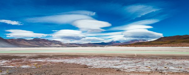 Atacama Desert, Chile, Landscape, Nature, Panorama, Photography, Salar de Aguas Calientes, Salar Miñiques, Salar Miscanti, Travel, vicuña, Wilderness, Wildlife