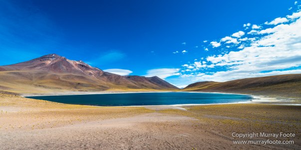 Atacama Desert, Chile, Landscape, Nature, Panorama, Photography, Salar de Aguas Calientes, Salar Miñiques, Salar Miscanti, Travel, vicuña, Wilderness, Wildlife