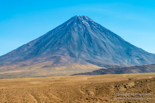 Andean Goose, Atacama Desert, Black-hooded sierra-finch, Chile, Chilean Flamingo, Landscape, Nature, Panorama, Photography, Sala de Tara, Travel, vicuña, Volcan Lascar, Wilderness, Wildlife