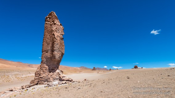 Andean Goose, Atacama Desert, Black-hooded sierra-finch, Chile, Chilean Flamingo, Landscape, Nature, Panorama, Photography, Sala de Tara, Travel, vicuña, Volcan Lascar, Wilderness, Wildlife