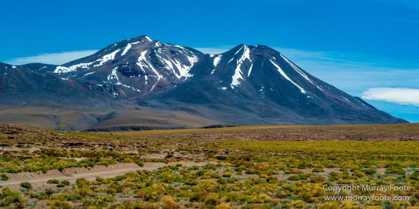 Atacama Desert, Chile, Landscape, Nature, Panorama, Photography, Salar de Aguas Calientes, Salar Miñiques, Salar Miscanti, Travel, vicuña, Wilderness, Wildlife