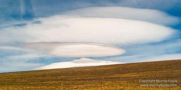 Atacama Desert, Chile, Landscape, Nature, Panorama, Photography, Salar de Aguas Calientes, Salar Miñiques, Salar Miscanti, Travel, vicuña, Wilderness, Wildlife