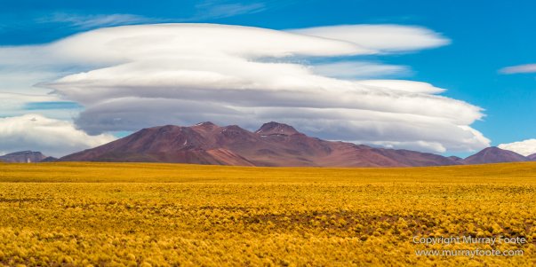 Atacama Desert, Chile, Landscape, Nature, Panorama, Photography, Salar de Aguas Calientes, Salar Miñiques, Salar Miscanti, Travel, vicuña, Wilderness, Wildlife