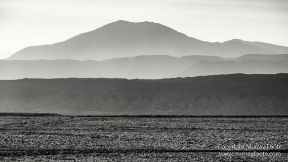 Atacama Desert, Black and White, Cacti, Chile, Flamingo, Geyser, Laguna Cejar, Laguna Chaxa, Laguna Tebenquiche, Monochrome, Nature, Photography, Tatio, Wilderness