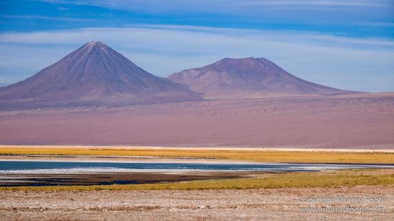 Atacama Desert, Chile, Laguna Cejar, Laguna Tebenquiche, Landscape, Nature, Panorama, Photography, Travel, Wilderness, Wildlife