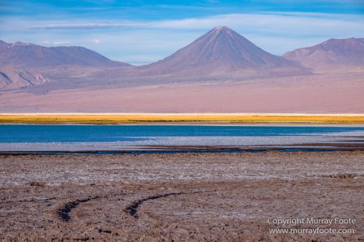 Atacama Desert, Chile, Laguna Cejar, Laguna Tebenquiche, Landscape, Nature, Panorama, Photography, Travel, Wilderness, Wildlife