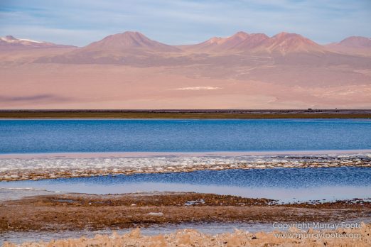 Atacama Desert, Chile, Laguna Cejar, Laguna Tebenquiche, Landscape, Nature, Panorama, Photography, Travel, Wilderness, Wildlife