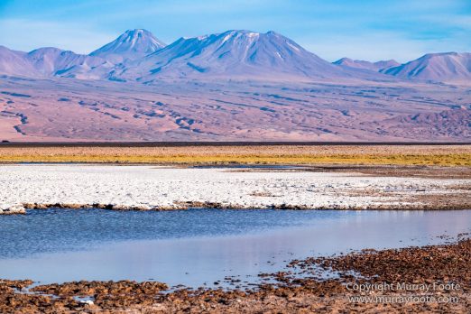 Atacama Desert, Chile, Laguna Cejar, Laguna Tebenquiche, Landscape, Nature, Panorama, Photography, Travel, Wilderness, Wildlife