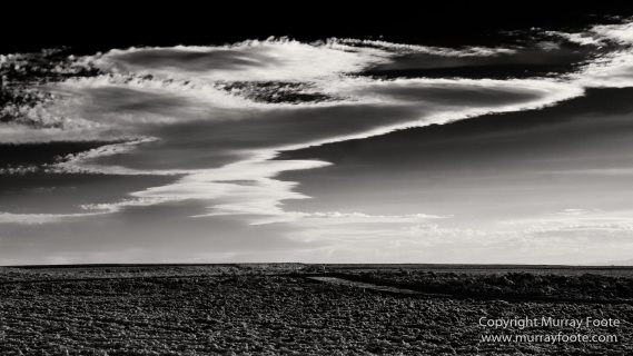 Atacama Desert, Black and White, Cacti, Chile, Flamingo, Geyser, Laguna Cejar, Laguna Chaxa, Laguna Tebenquiche, Monochrome, Nature, Photography, Tatio, Wilderness