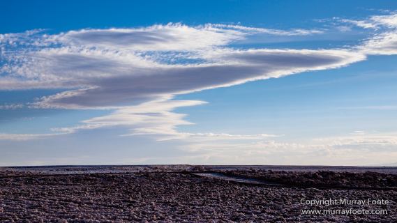 Atacama Desert, Chile, Laguna Cejar, Laguna Tebenquiche, Landscape, Nature, Panorama, Photography, Travel, Wilderness, Wildlife
