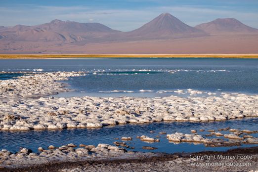 Atacama Desert, Chile, Laguna Cejar, Laguna Tebenquiche, Landscape, Nature, Panorama, Photography, Travel, Wilderness, Wildlife