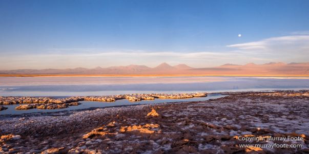 Atacama Desert, Chile, Laguna Cejar, Laguna Tebenquiche, Landscape, Nature, Panorama, Photography, Travel, Wilderness, Wildlife