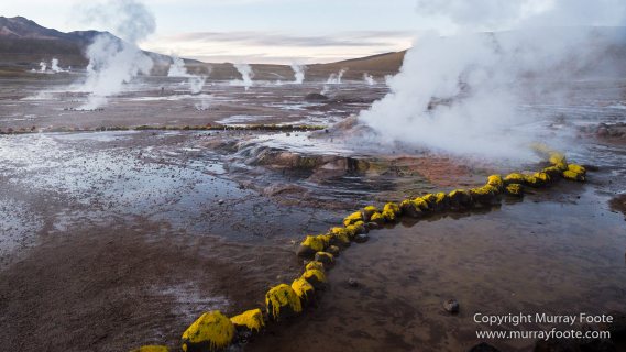 Atacama Desert, Chile, Geyser, Landscape, Nature, Photography, Tatio, Travel, Wilderness