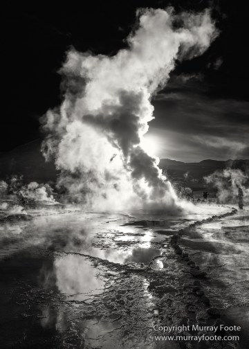 Atacama Desert, Black and White, Cacti, Chile, Flamingo, Geyser, Laguna Cejar, Laguna Chaxa, Laguna Tebenquiche, Monochrome, Nature, Photography, Tatio, Wilderness
