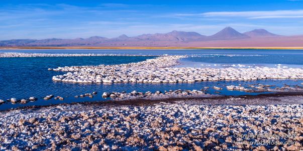 Atacama Desert, Chile, Laguna Cejar, Laguna Tebenquiche, Landscape, Nature, Panorama, Photography, Travel, Wilderness, Wildlife