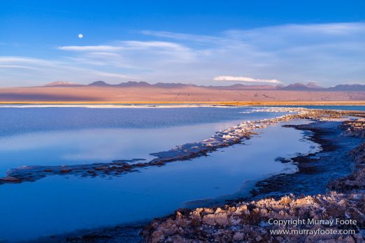 Atacama Desert, Chile, Laguna Cejar, Laguna Tebenquiche, Landscape, Nature, Panorama, Photography, Travel, Wilderness, Wildlife