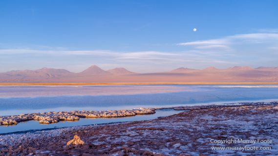 Atacama Desert, Chile, Laguna Cejar, Laguna Tebenquiche, Landscape, Nature, Panorama, Photography, Travel, Wilderness, Wildlife