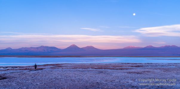 Atacama Desert, Chile, Laguna Cejar, Laguna Tebenquiche, Landscape, Nature, Panorama, Photography, Travel, Wilderness, Wildlife