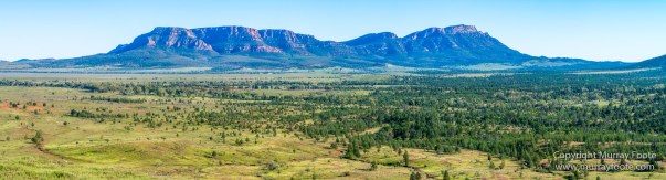 Architecture, Australia, Cazneau Tree, Flinders Ranges, Central Bearded dragon, Landscape, Macro, Merna Mora Station, Nature, Photography, South Australia, Travel, Wilderness, Wildlife, Yellow-footed rock-wallaby