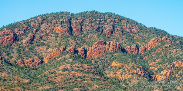 Architecture, Australia, Cazneau Tree, Flinders Ranges, Central Bearded dragond, Landscape, Macro, Merna Mora Station, Nature, Photography, South Australia, Travel, Wilderness, Wildlife, Yellow-footed rock-wallaby